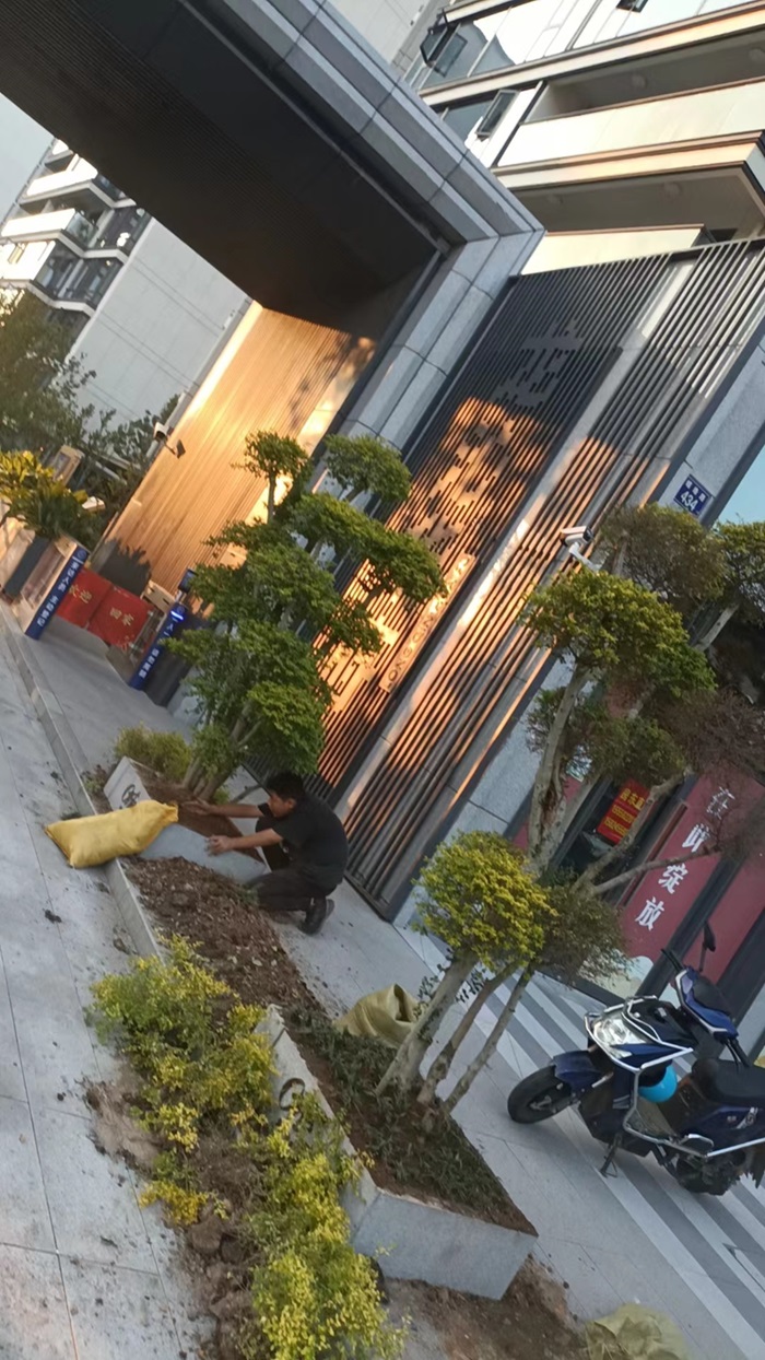 園林庭院設(shè)計(jì)